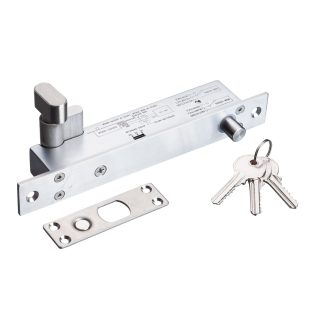 Electric Bolt Lock(with keys)