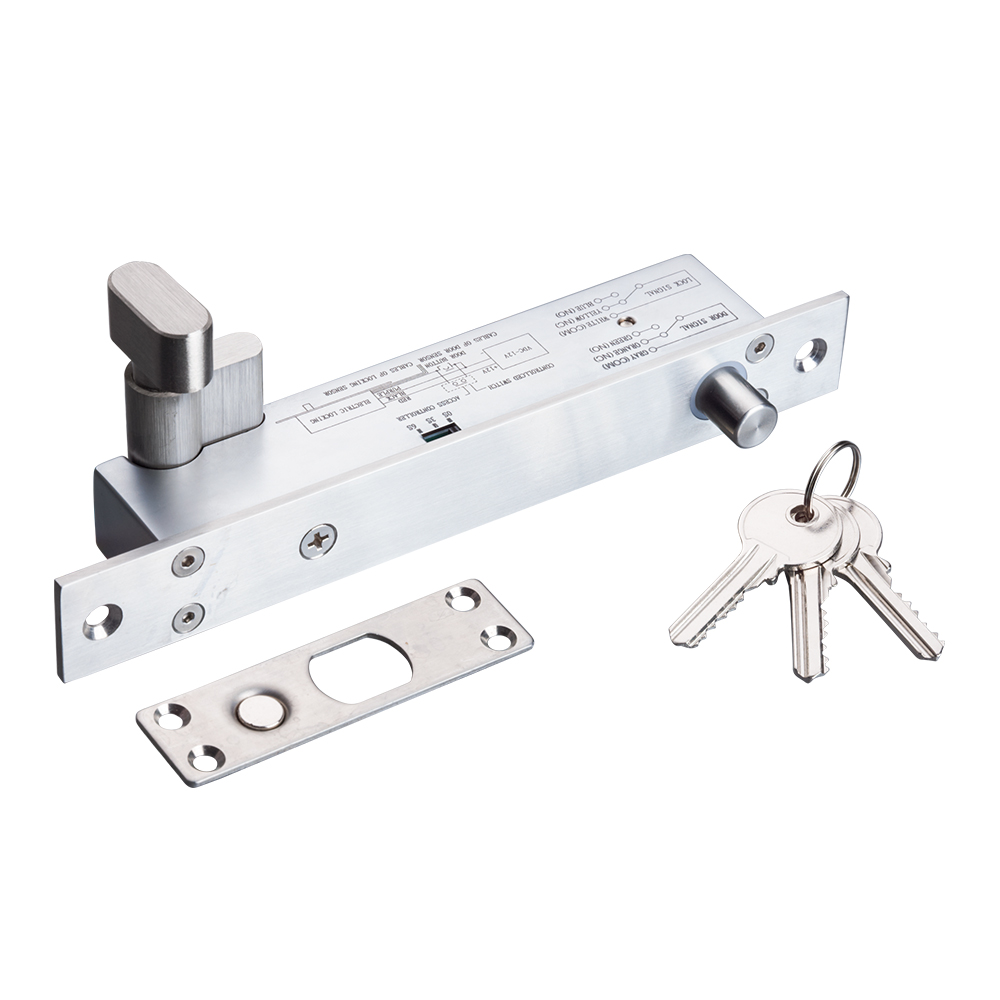 Electric Bolt Lock(with keys)